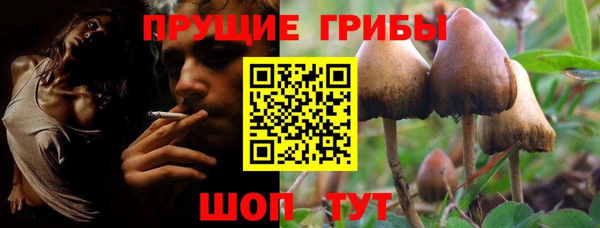 Нерюнгри  Псилоцибиновые грибы мухоморы  Вход с VPN 